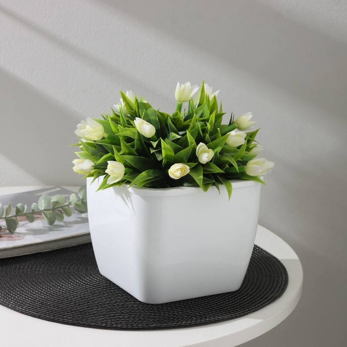 Кашпо для цветов со вставкой «Глянец», 2,4 л (1,6 л), цвет белый Кашпо для цветов со вставкой «Глянец», 2,4 л (1,6 л), цвет белый