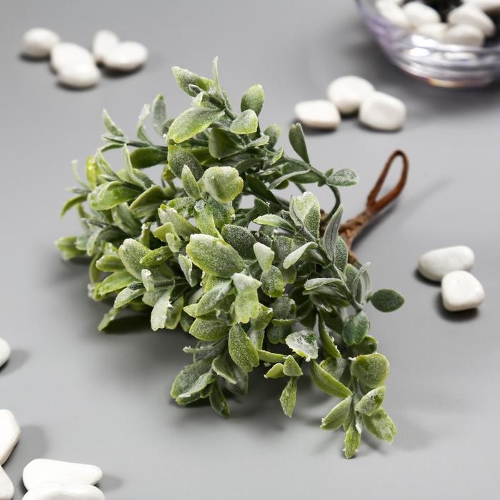 Искусственный суккулент для создания флорариума Искусственный суккулент для создания флорариума "Крассула" набор 6 шт 15 см