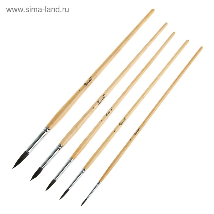 Набор кистей Белка 5 штук, ЗХК Набор кистей Белка 5 штук, ЗХК "Сонет", №1, (круглые №1; 3; 4; 5; 7), длинная ручка, 8745468