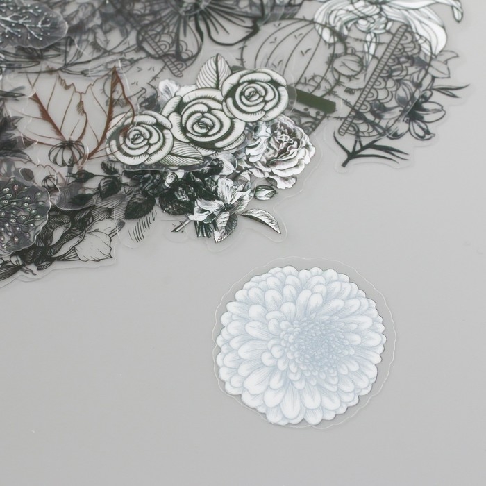 Наклейки для творчества пластик PVC Наклейки для творчества пластик PVC "Эскизы растений" набор 60 шт 10х14 см