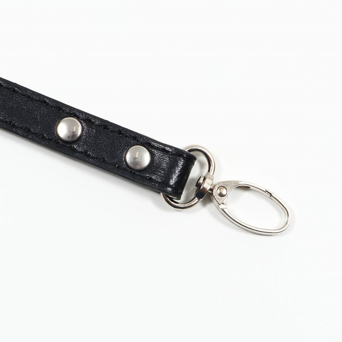 Поводок  Поводок "Основа" 120 х 1,5 см, чёрный