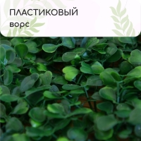 Декоративная панель, 25 × 25 см, «Мокрица», Greengo