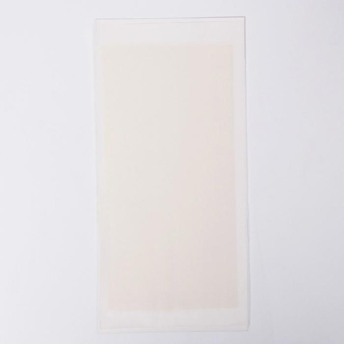 Пластина клеевая от крыс Mr.Mouse, без упаковки, 1шт Пластина клеевая от крыс Mr.Mouse, без упаковки, 1шт