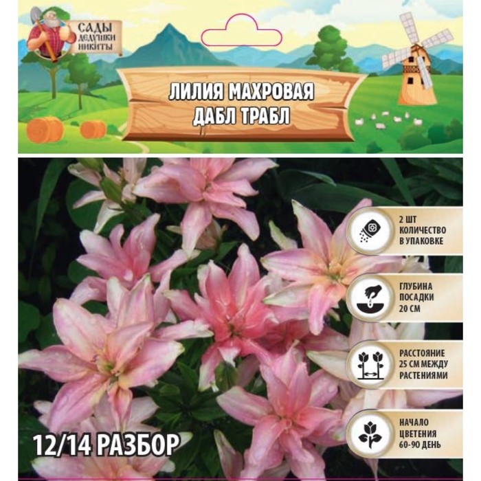 Лилия Махровая Лилия Махровая "Double Trouble", р-р 12/14, 2 шт,