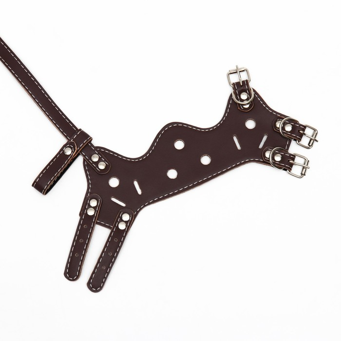 Намордник из прессованной кожи регулируемый, №2, ДН 5 см, ОМ 15-22 см, коричневый Намордник из прессованной кожи регулируемый, №2, ДН 5 см, ОМ 15-22 см, коричневый