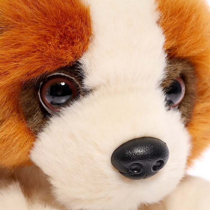 Мягкая игрушка «Собака сенбернар лежачий», 20 см Мягкая игрушка «Собака сенбернар лежачий», 20 см