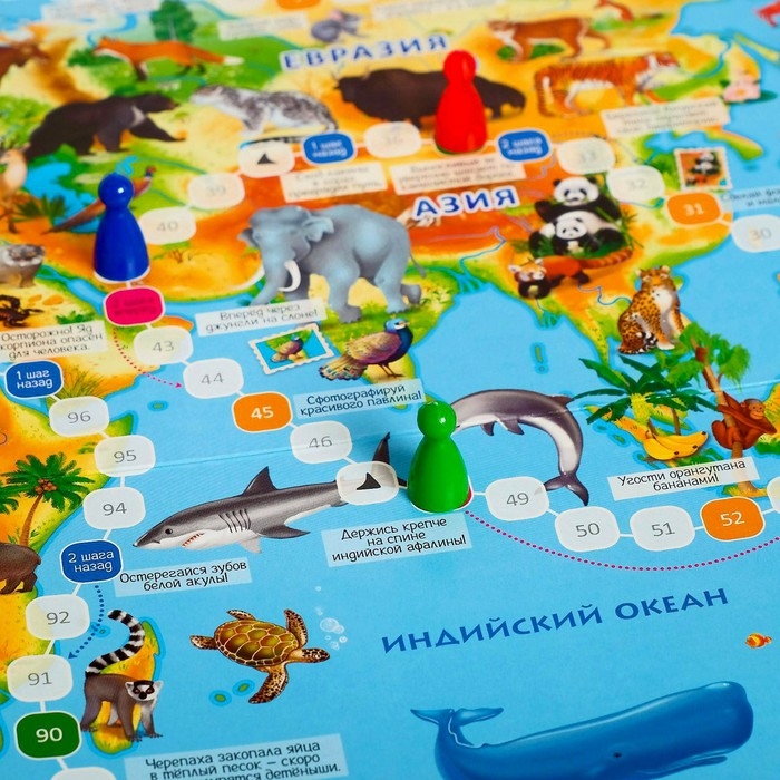 Настольная игра «Животный мир Земли» Настольная игра «Животный мир Земли»