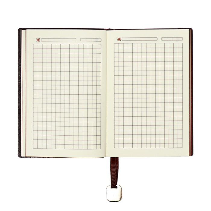 Органайзер, А6, 116 листов, клетка, обложка кожзам, коричневый срез, черный Органайзер, А6, 116 листов, клетка, обложка кожзам, коричневый срез, черный