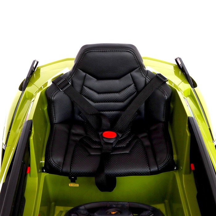 Электромобиль Lamborghini SIAN, EVA колёса, кожаное сидение, цвет зелёный Электромобиль Lamborghini SIAN, EVA колёса, кожаное сидение, цвет зелёный