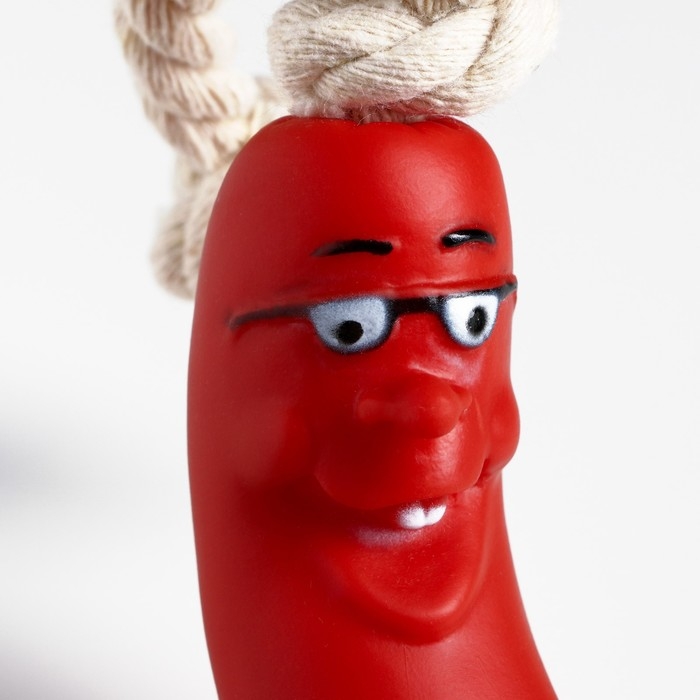 Игрушка  Игрушка "Сосиска в очках на верёвке" для собак, 14 см