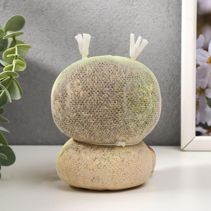 Растущий подарок травка Экоживчик Растущий подарок травка Экоживчик "Домовой"