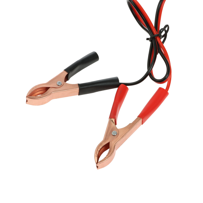 Зарядное устройство АКБ 6-12 В, 6 А, автомат, 220 В, 87 Вт Зарядное устройство АКБ 6-12 В, 6 А, автомат, 220 В, 87 Вт