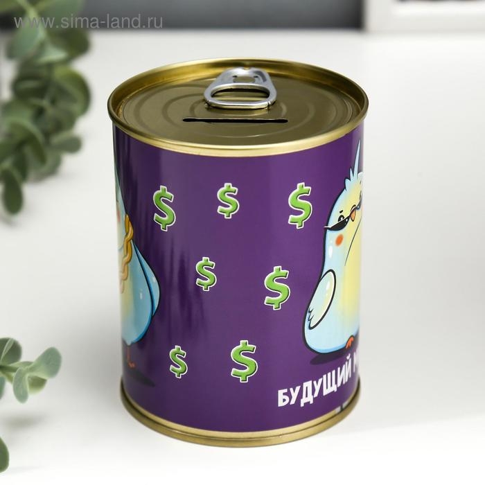 Копилка-банка металл Копилка-банка металл "Будущий миллиардер"