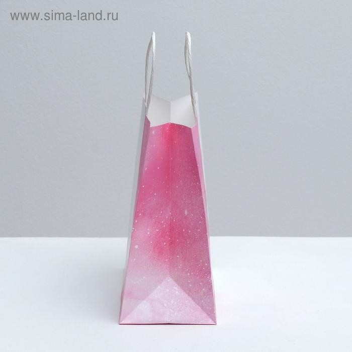 Пакет подарочный крафтовый, упаковка, «Present for you», 22 х 25 х 12 см Пакет подарочный крафтовый, упаковка, «Present for you», 22 х 25 х 12 см