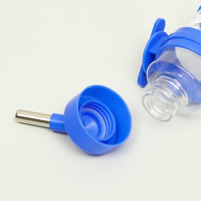 Поилка для грызунов  Поилка для грызунов "Пижон", 80 мл, синяя