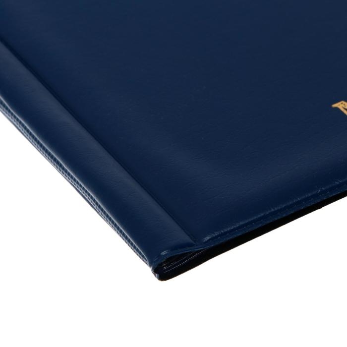 Альбом для монет 125 х 185 мм Calligrata "Комби" на 138 монет, 8 листов, обложка ПВХ, синий