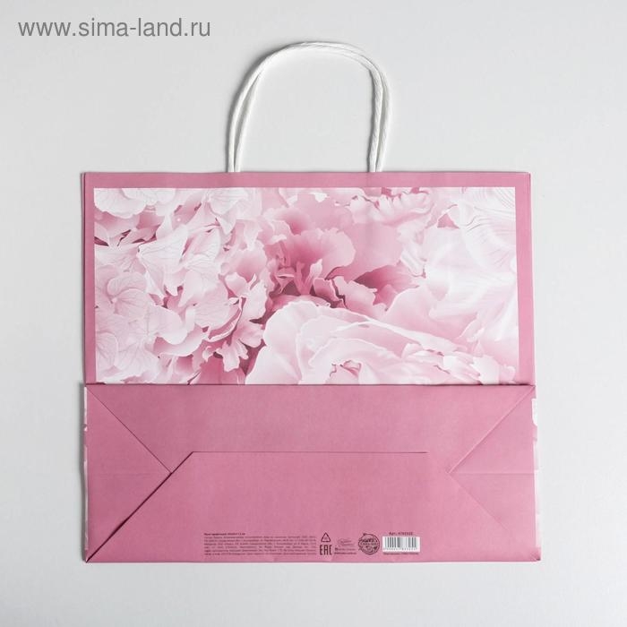 Пакет подарочный крафтовый, упаковка, «Dreams», 26 х 30 х 11,5 см