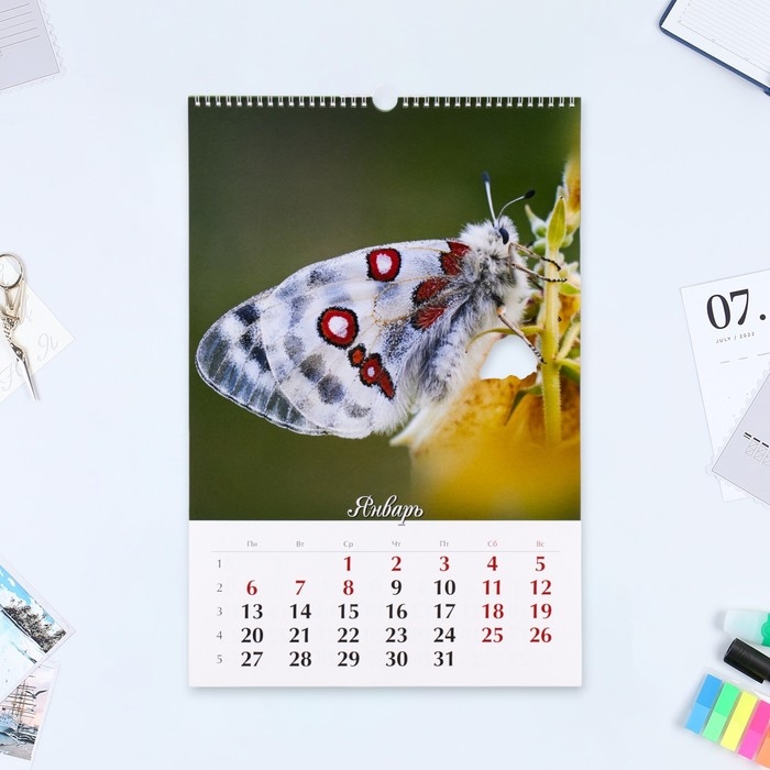 Календарь перекидной на ригеле А3 Календарь перекидной на ригеле А3 "Бабочки" 2025 год, 32 х 48 см