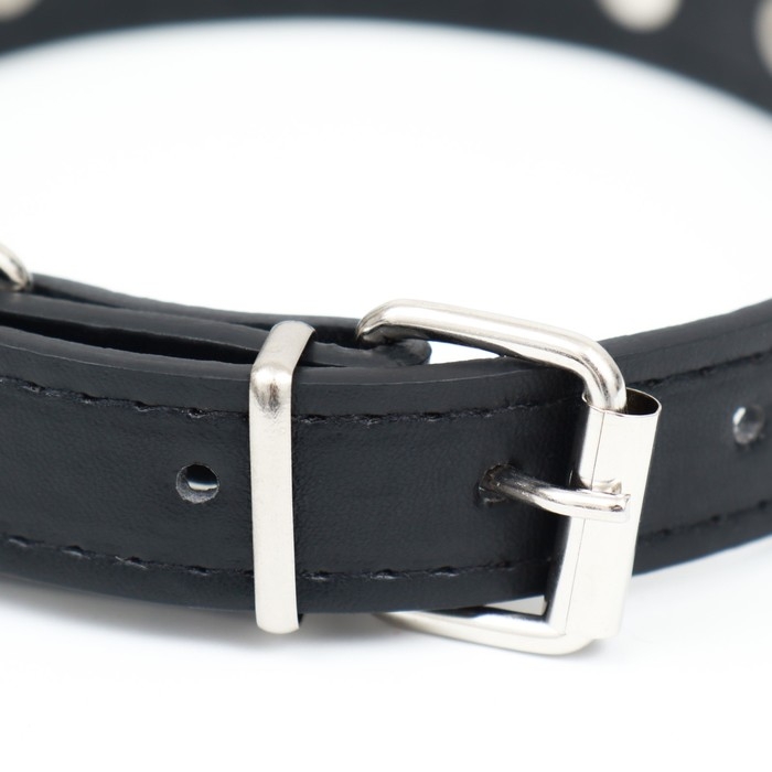 Ошейник  Ошейник "Лион" с шипами 45 х 2 см, ОШ 34-40 см, искусственная кожа, чёрный