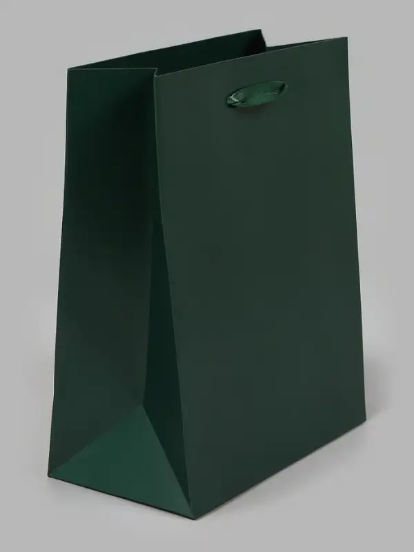 Пакет подарочный ламинированный &laquo;Зелёный&raquo;, 18&times;23&times;10 см