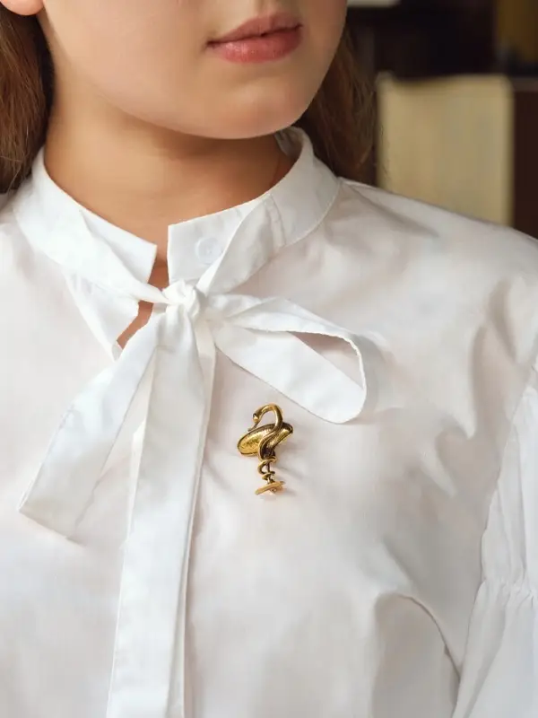 Брошь &laquo;Змея в геральдике&raquo;, знак, 4.4 см, цвет чернёное золото