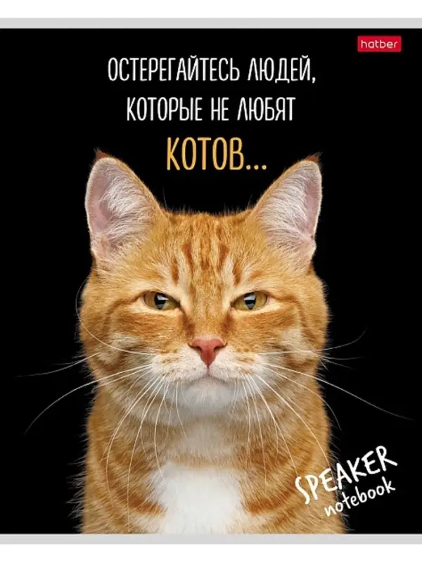 Тетрадь 40л А5ф кл 60-65г/кв.м на скобе Обл. мел.картон  серия -Кот говорит!- МИКС