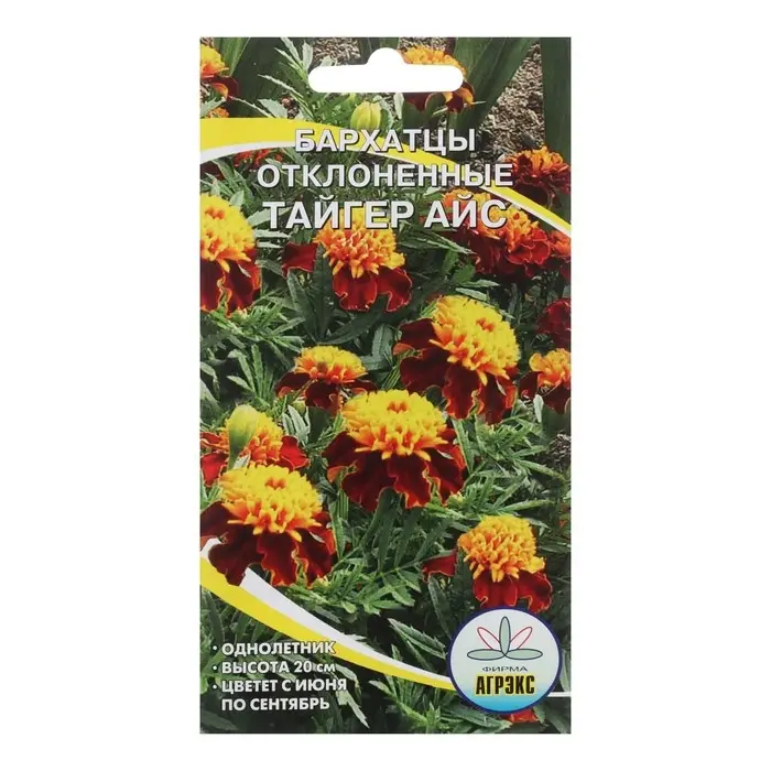 Семена Цветов однолетние Бархатцы Тайгес Айс Семена Цветов однолетние Бархатцы Тайгес Айс", отклонённые, махровые, 0,2 г