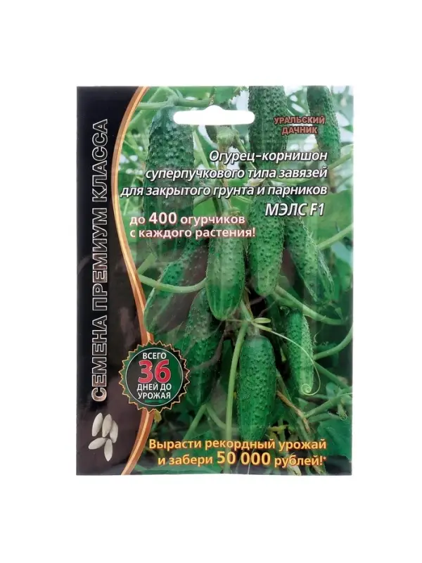 Семена огурец корнишон &laquo;Мэлс&raquo;, F1, партенокарпический, 5 шт., &laquo;Уральский дачник&raquo;