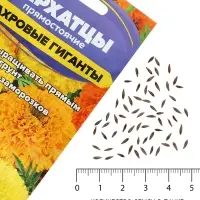 Семена цветов Бархатцы &laquo;Махровые Гиганты&raquo;, ц/п, О, 0.2 г