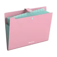 Папка А4 Haze, 12 отделений, 600 мкм, на кнопке, розовая