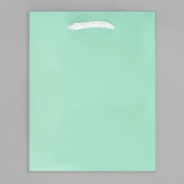 Пакет подарочный ламинированный, упаковка, &laquo;Зелёный&raquo;, S 12 х 15 х 5.5 см