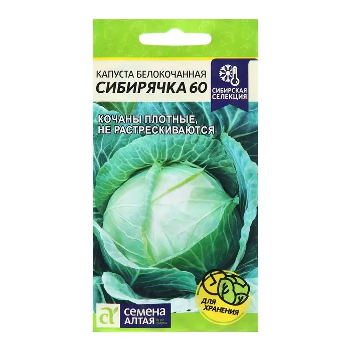 Семена Капусты белокочанной  Семена Капусты белокочанной "Сибирячка 60", цп, 0,5 г