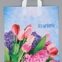 Пакет "Гиацинт, полиэтиленовый с вырубной ручкой 38х40 см, 40 мкм