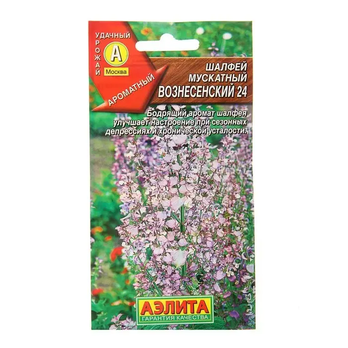 Семена Шалфей мускатный  Семена Шалфей мускатный "Вознесенский 24", 0,2 г