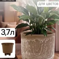 Кашпо для цветов &laquo;Микрит&raquo;, 3.7 л, d=22 см, h=20 см, со вставкой, пластиковое, бежевое