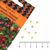 Семена Перец кустарниковый &laquo;Мексиканец&raquo;, 5 шт., &laquo;ПОИСК&raquo;