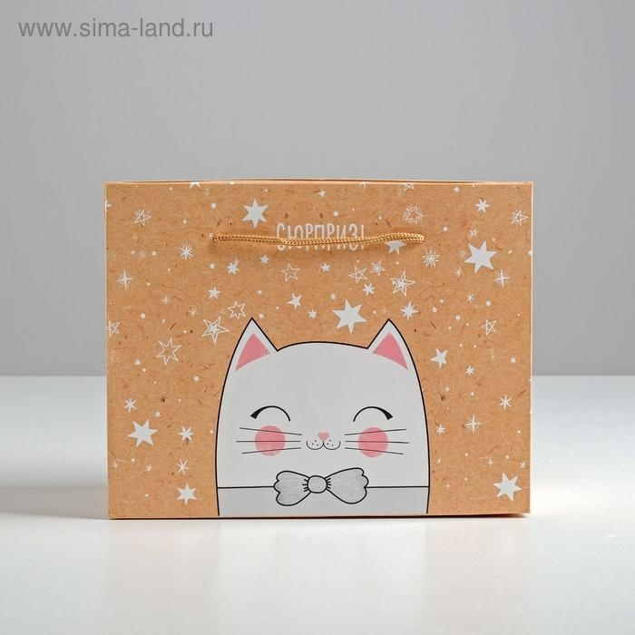 Пакет—коробка «Сюрприз!», 23 х18 х11 см Пакет—коробка «Сюрприз!», 23 х18 х11 см