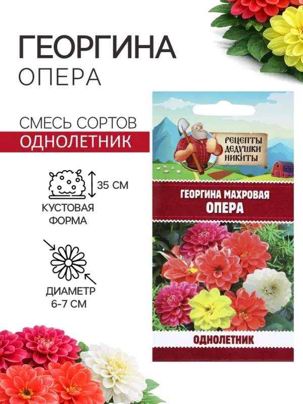 Семена цветов Георгина махровая &laquo;Опера&raquo;, 0.2 г, &laquo;Рецепты дедушки Никиты&raquo;