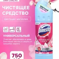 Чистящее средство Domestos &laquo;Цветущая магнолия&raquo;, универсальное, 750 мл