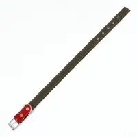 Ошейник брезентовый двухслойный, 72&times;3.5 см, ОШ 45-60 см, хаки