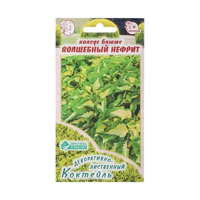 Семена Колеус блюме  Семена Колеус блюме "Волшебный Нефрит", 10 шт