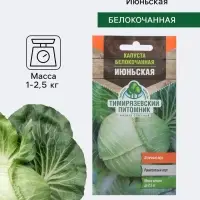 Семена Капуста белокочанная &laquo;Июньская&raquo;, ранняя, 0.5 г, &laquo;Тимирязевский питомник&raquo;