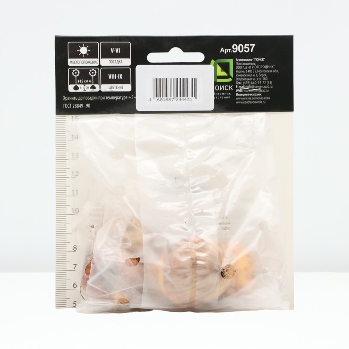 Гладиолус крупноцветковой «Российская селекция Малика», луковица цветов в пакете с перфорацией, р-р 10/12, 5 шт.