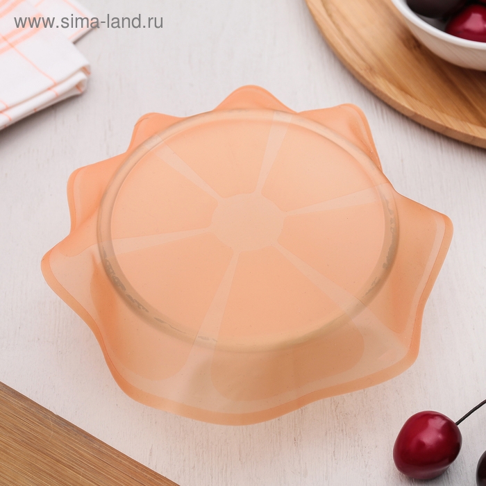 Крышка силиконовая для хранения продуктов «Цитрус», d=18 см, цвет МИКС Крышка силиконовая для хранения продуктов «Цитрус», d=18 см, цвет МИКС