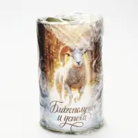 Копилка новогодняя, XXL, 20&times;12.2 см &laquo;Успеха. Козлик&raquo;
