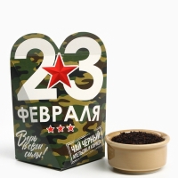 Чай подарочный «23 февраля», 50 г