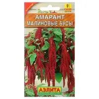 Набор семян Амарант "Малиновые бусы", О, 5 шт. Набор семян Амарант "Малиновые бусы", О, 5 шт.