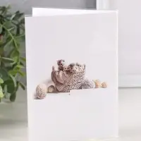 Фотоальбом 36 фото 10X15см, "Котята в корзинке" ПП карм.,мягкая обложка