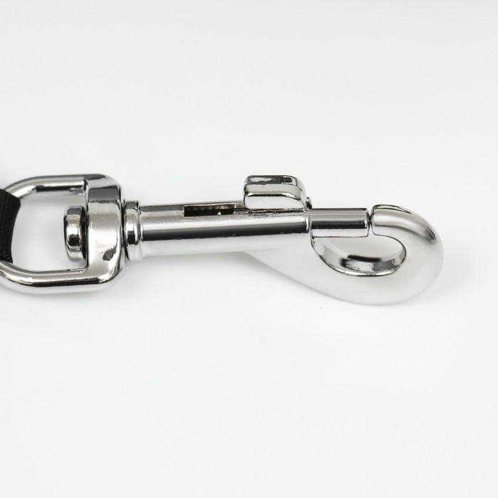 Рулетка Пижон Premium с поводком-лентой 3 м, контейнером под пакеты и 15 пакетов, до 15 кг Рулетка Пижон Premium с поводком-лентой 3 м, контейнером под пакеты и 15 пакетов, до 15 кг