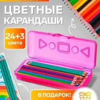 Карандаши Calligrata, цветные, 24 цвета, эконом, шестигранные, пластиковые, пенал-футляр и 3 чернографитных карандаша с ластиком в ПОДАРОК, МИКС